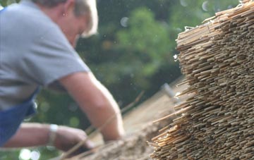 professional Kingston Gorse thatchers